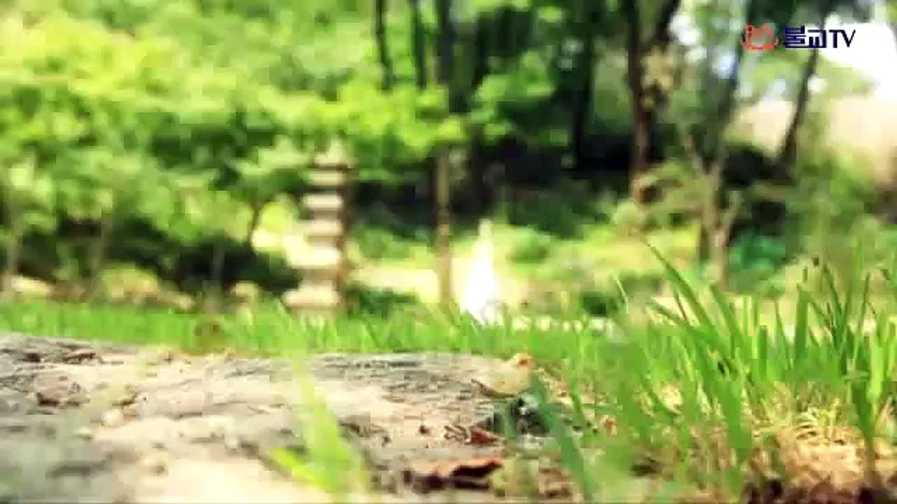[BTN불교TV] 정목스님의 나무아래 앉아서 15회
