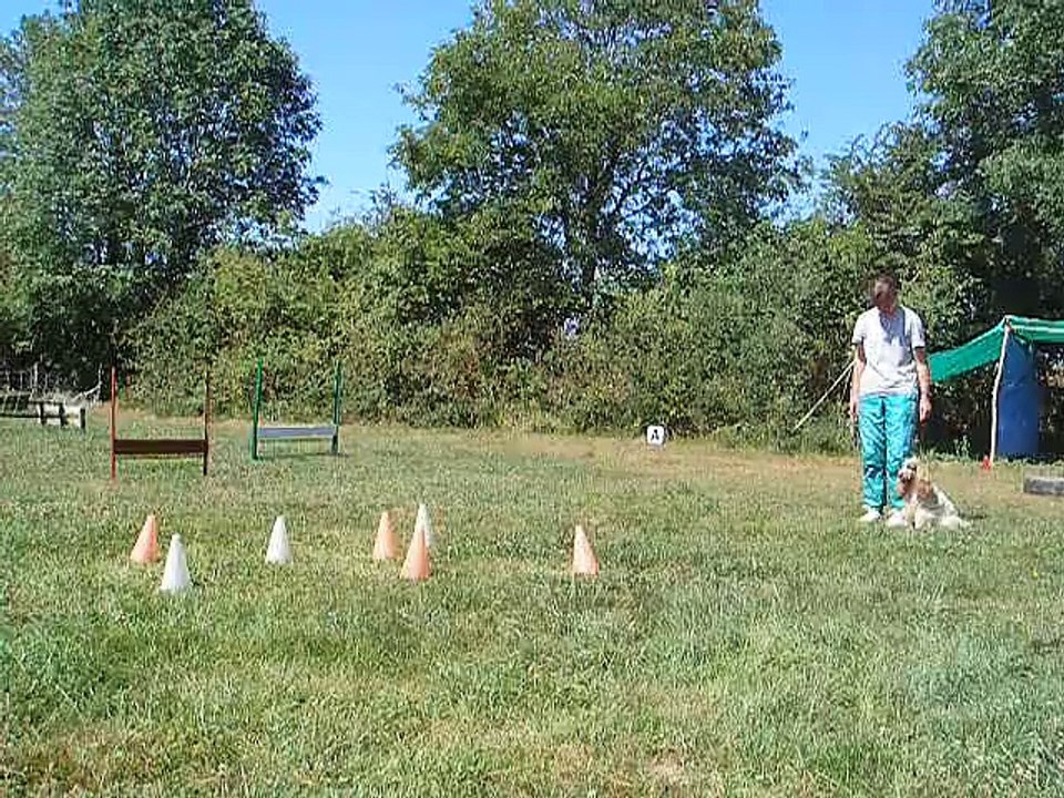 Geazy cherche la balle