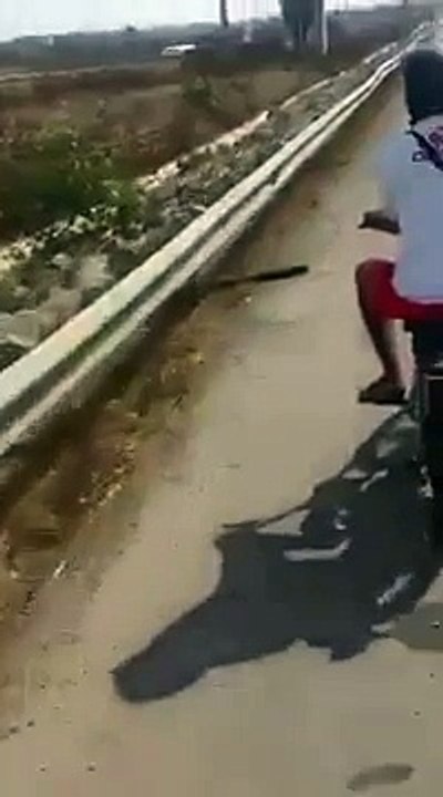 En mobylette à contre sens sur l'autoroute !