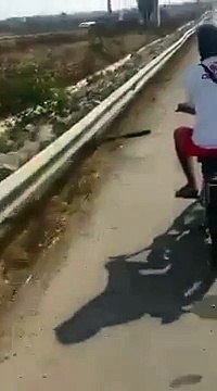 En mobylette à contre sens sur l'autoroute !