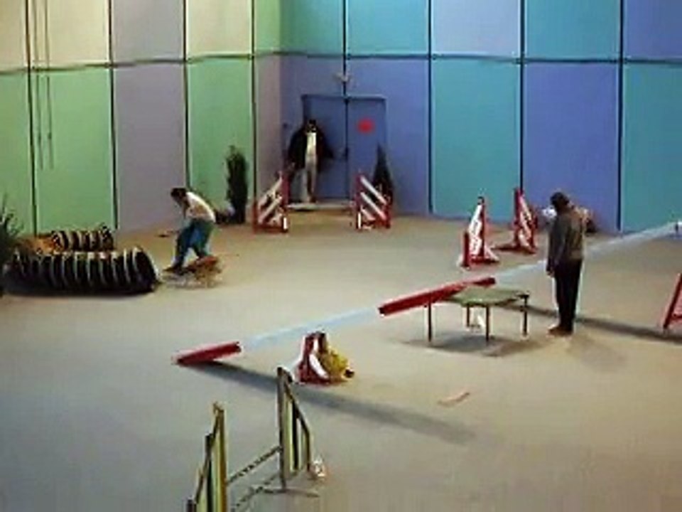 Concours agylity 2007 - Vanille