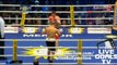 Arthur Abraham - Robert Stieglitz Boxing WBO Round 2/12