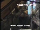 04 - Auschwitz: il simbolo della follia e della barbaria umana
