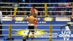 Arthur Abraham - Robert Stieglitz Boxing WBO Round 5/12