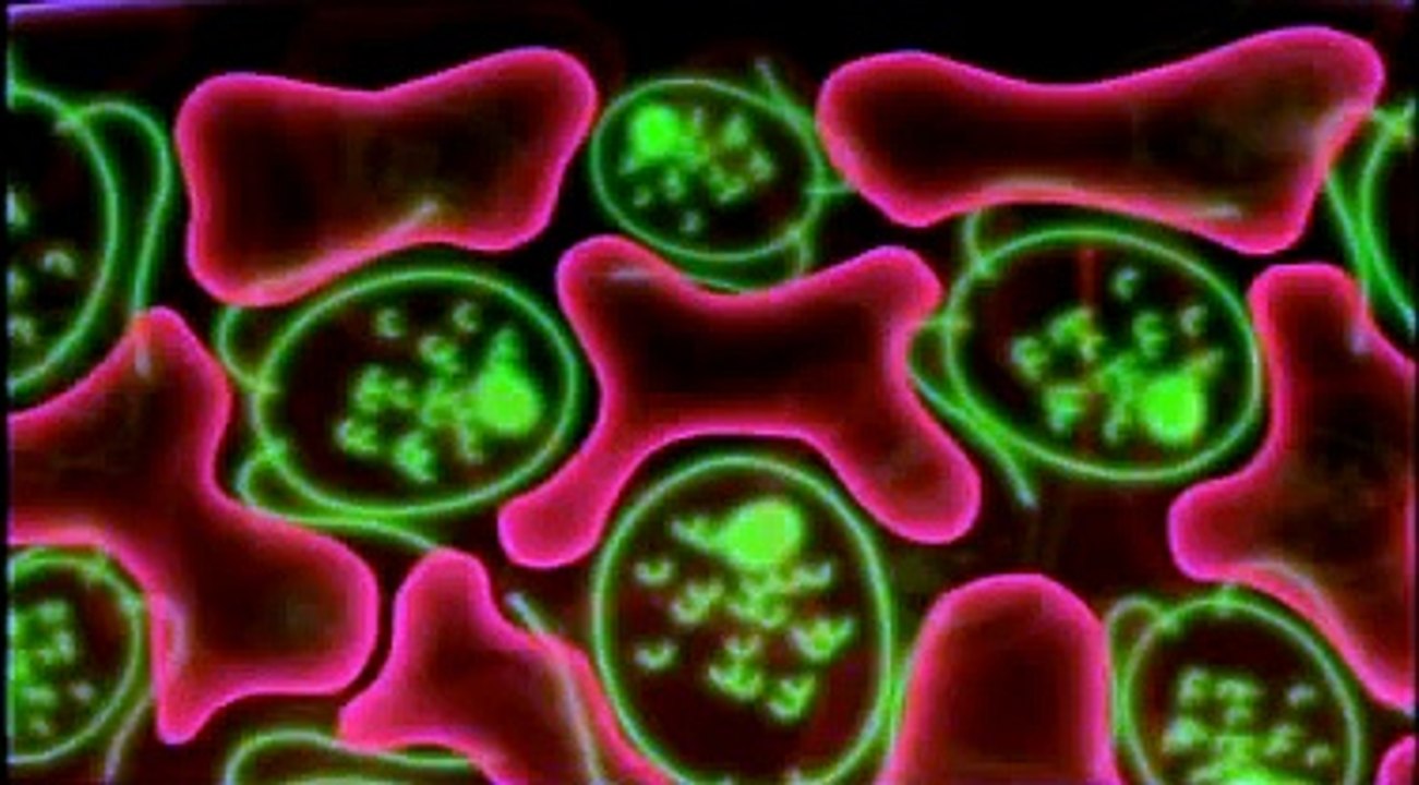 PLANETA TIERRA 200 MILLONES DE AÑOS EN EL FUTURO -2