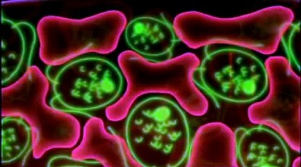 PLANETA TIERRA 200 MILLONES DE AÑOS EN EL FUTURO -2