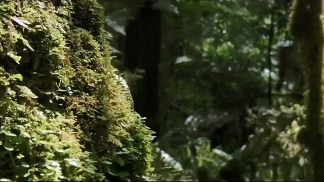 Тарбозавр самый лучший мультик » Смотреть онлайн новинки фильмов и видео в хорошем качестве бесплатно.