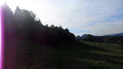 Outstanding endless of summer within polish mountains