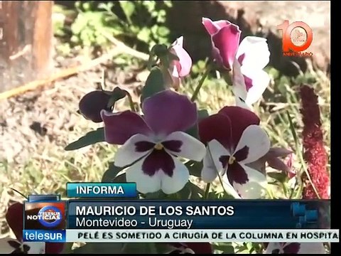 Uruguay: testigos de crímenes de la dictadura exigen apoyo del Estado