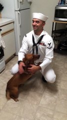 Daddy is home from deployment!