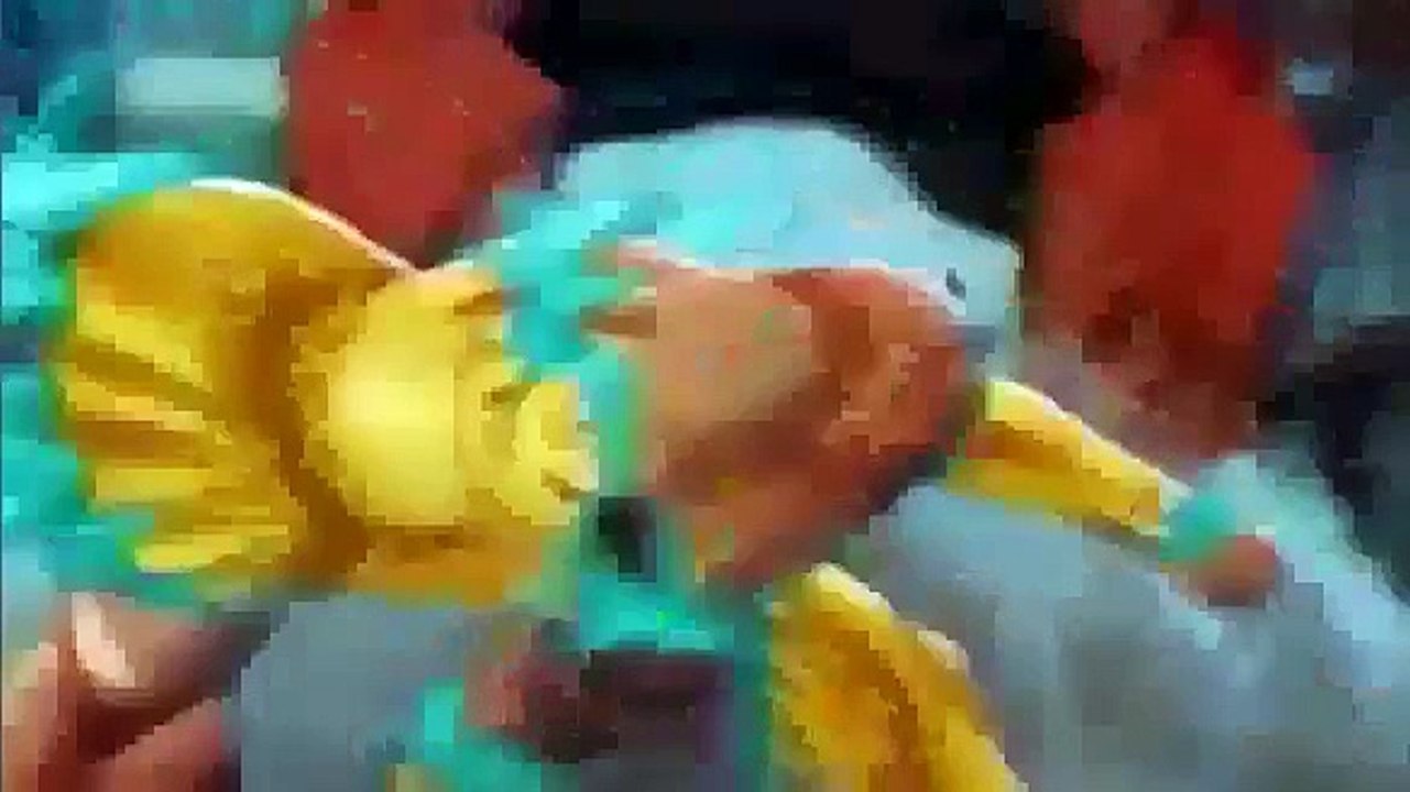 Cartoon Network LA   Promo Cine Cartoon Max steel  La ira de Makino   El amanecer de morph