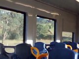 CityRail Hunter Rail Car trip to Dungog