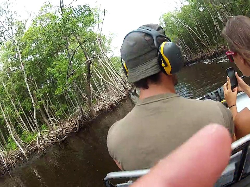 Airboat 18 juillet 2015 EverGlades City