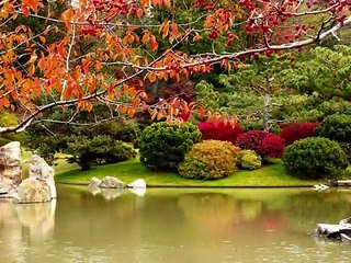 she's a rainbow / the rolling stones