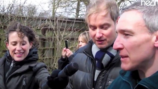 Feeding the Lions at ZSL Whipsnade Zoo