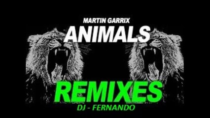 Martin Garrix - Animal (Dj Fernando) 2015