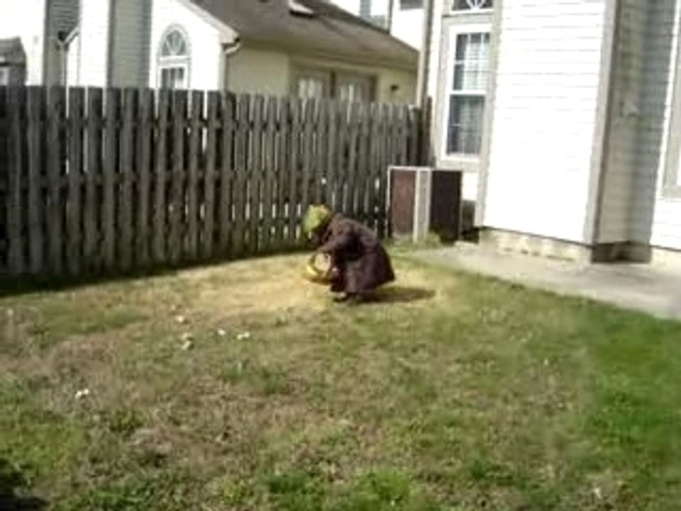 La chasse aux oeufs en video