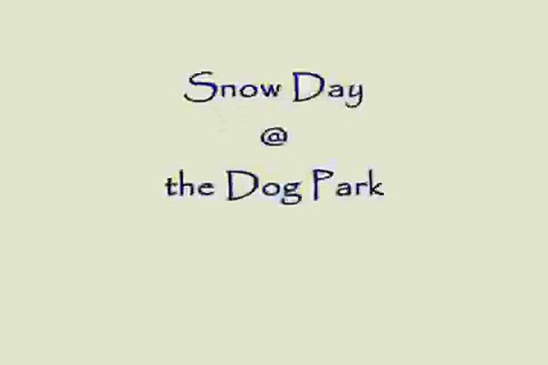 Peruvian Inca Orchid, Peruvian Hairless