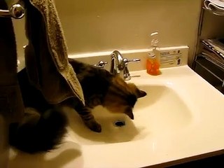 Tigger Washes Up .AVI