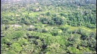 Amazonía Ecuador: Importancia de los Bosques Amazónicos - Bernardo Ortiz - Video 8 ©TRAFFIC