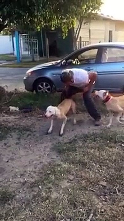 watch this closely... take a good look at the house... promise yourself you will never ROB that one