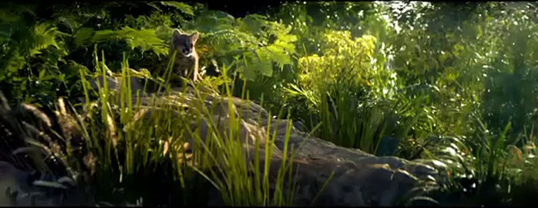Whiskas® Kitten - English