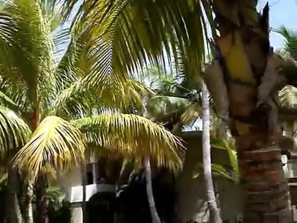 Melia Caribe Tropical resort