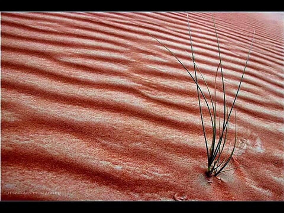 Gloria Gaynor i will survive Lyrics