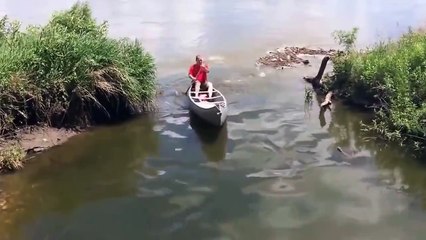 Fantastic fishing