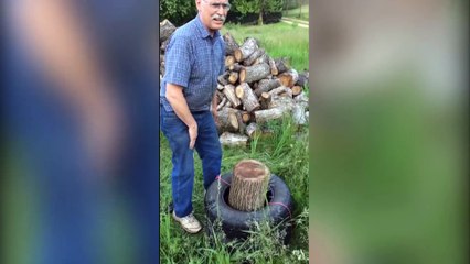 TOP VIRAL VIDEOS OF WEEK #24 2015