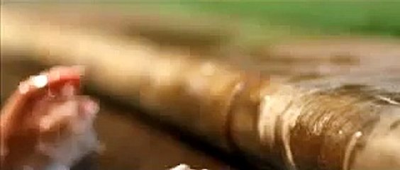 Alicia Silverstone Bares All in Veg Testimonial