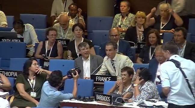 Disccours - Coteaux, maisons et caves de Champagne inscrits au patrimoine mondial de l'UNESCO - L'ambassadeur de France _ UNESCO