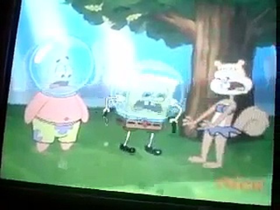 Spongebob Squarepants A Flea In Her Dome