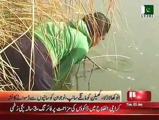 Anokha shoq, dekhiye bhai sab kese sanp ko pakertay hain aor un se dhaswaty hain