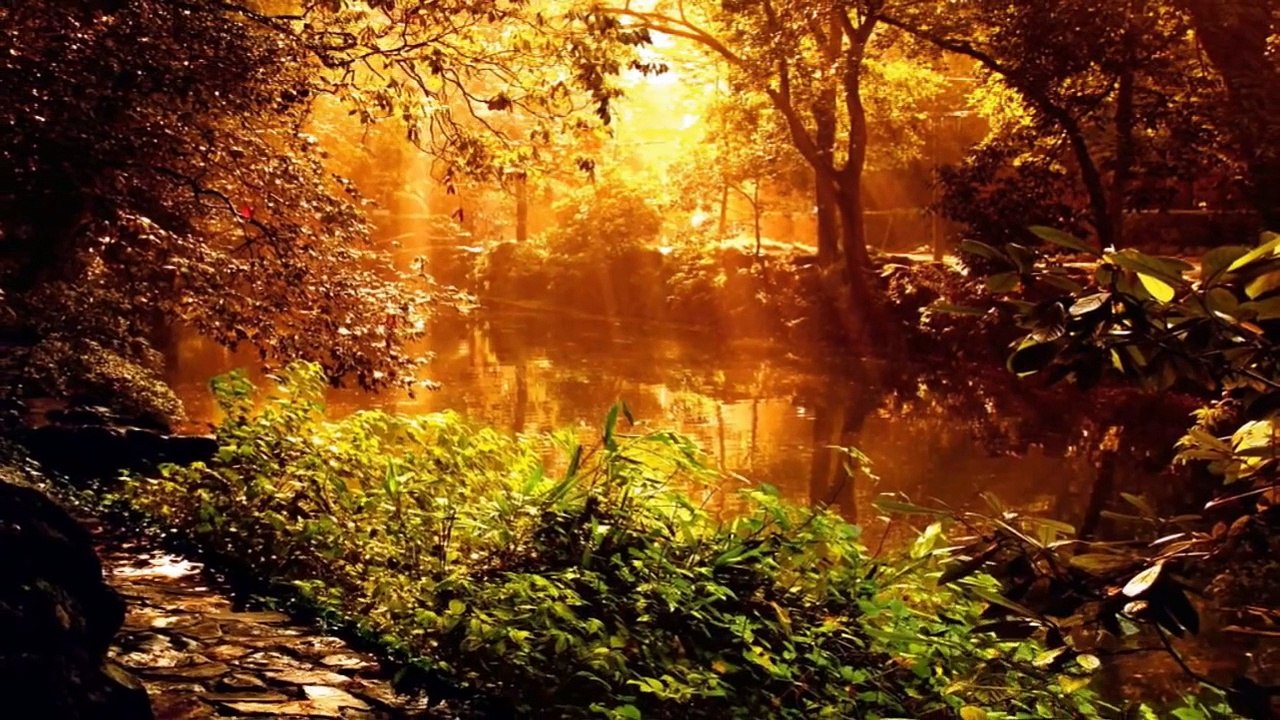 Bach Suite pour Orchestre n°3 Sarabande