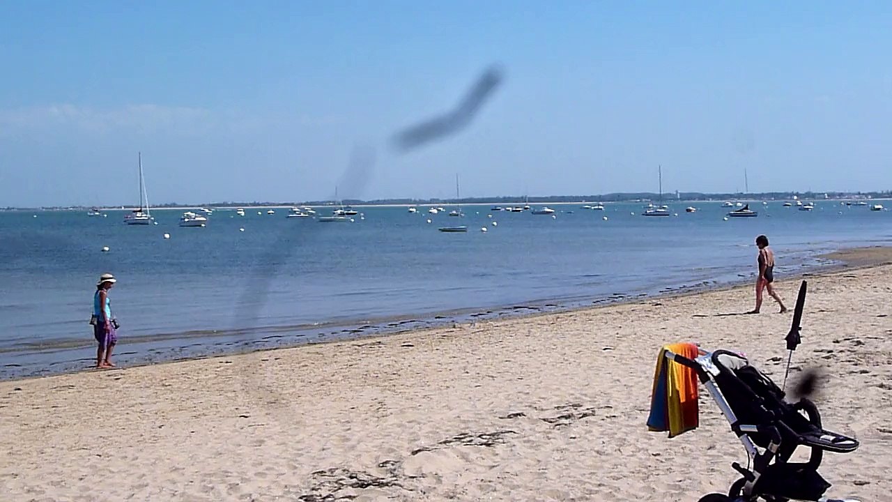 Maison d'hôtes La Cote d'Argent plage de Ronce Les Bains