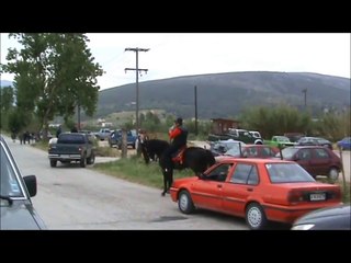 ΑΡΑΒΑΝΙΑΡΙΚΑ ΑΛΟΓΑ ,ΑΓΙΟΣ ΓΕΩΡΓΙΟΣ 2010,ΒΟΝΙΤΣΑ