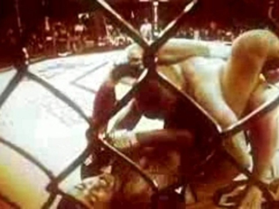 Sample-UFC69
