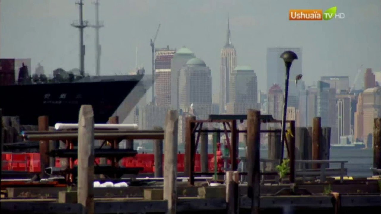 Planète Terre, aux origines de la vie - Saison 1 - EP 10/13 - New York