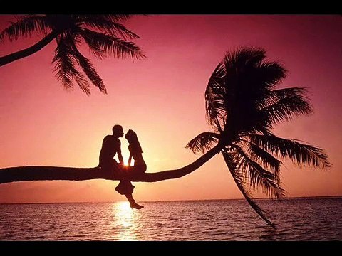 شرين على بالى -Sherin 3la baly