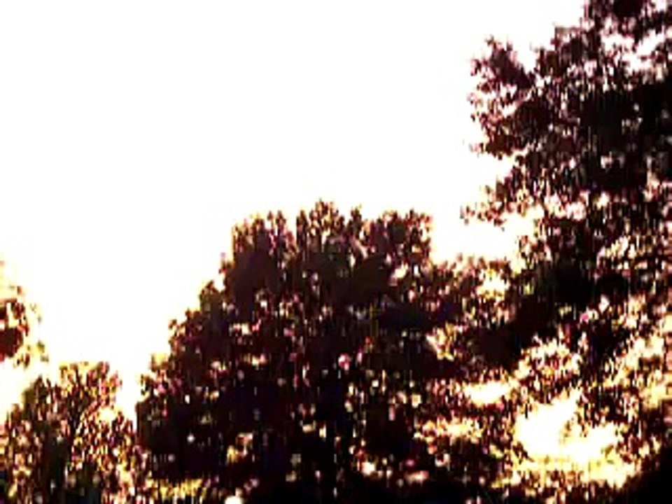 Cicada Noise