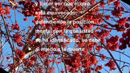 El poder del Ahora - Eckhart Tolle - El origen del miedo