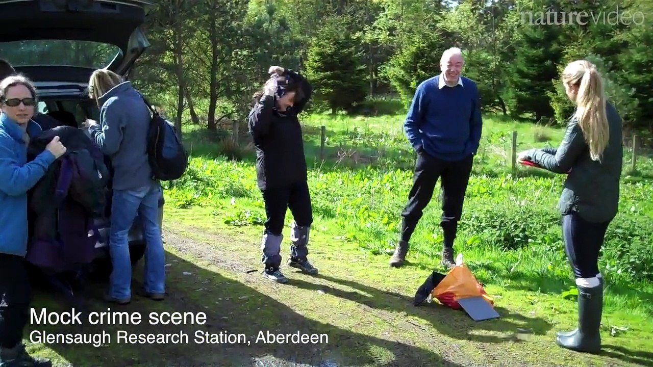 The soil sleuth
