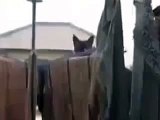 The cat jumps from a window