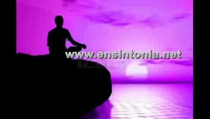 Meditación Diaria Llama Violeta