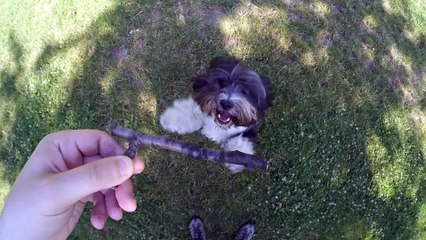 SEBI Jump: Market Moves and Updates