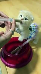 Feeding time, so cute