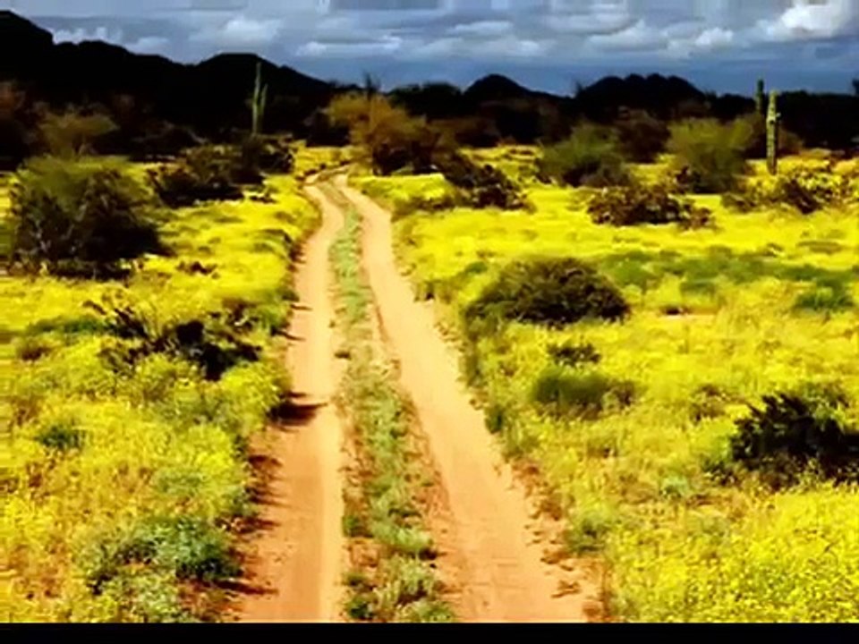 Sonora Querida