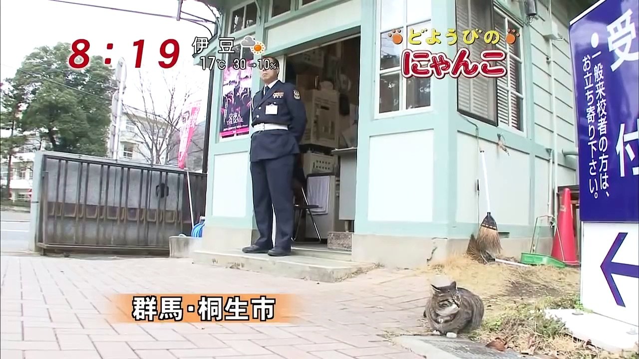 どようびのにゃんこ　うに