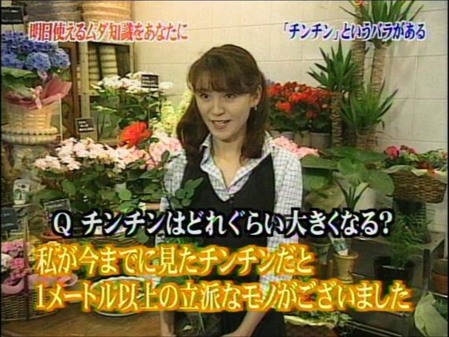 おもしろ テロップ